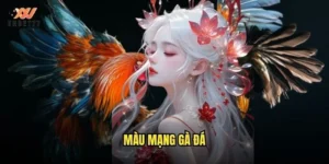màu mạng gà đá