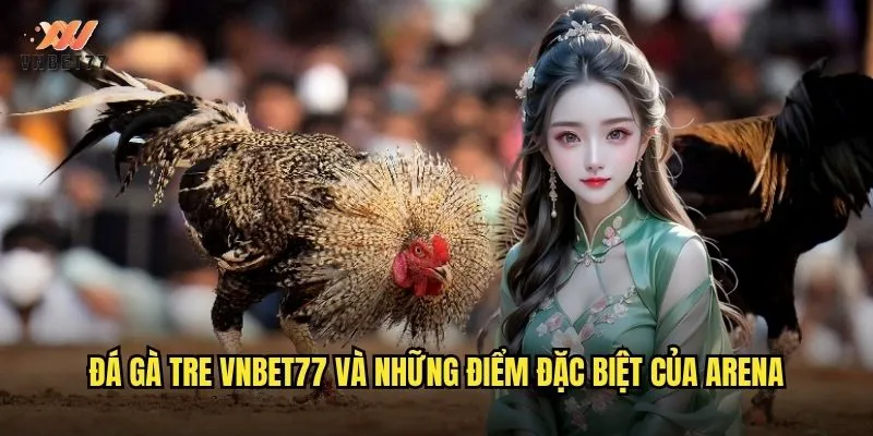 Đá Gà Tre vnbet77 Trực Tiếp Với Hình Ảnh Sắc Nét Nhất 2 Đá gà tre vnbet77 và những điểm đặc biệt của arena