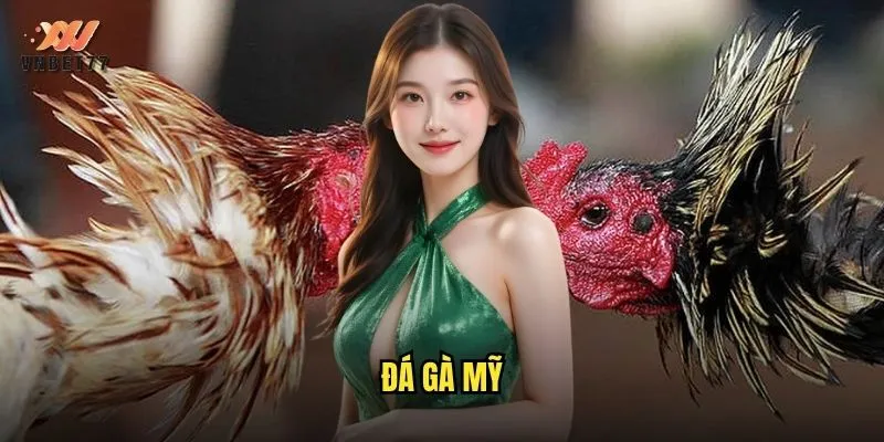 vnbet77 Đá Gà Mỹ: Trải Nghiệm Cá Cược Với Tỷ Lệ Thưởng Siêu Khủng 1 đá gà Mỹ