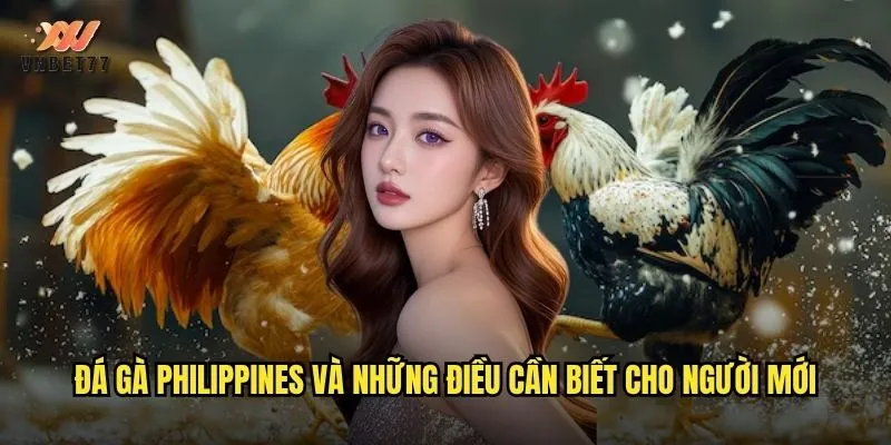 Đá Gà Philippines vnbet77 Nơi Hội Tụ Những Trận Đấu Kịch Tính Nhất 2 Đá gà Philippines và những điều cần biết cho người mới